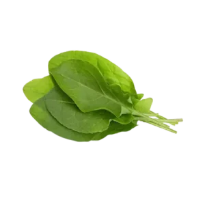 سورل|میوه لند