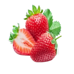 توت فرنگی بوته ای|میوه لند